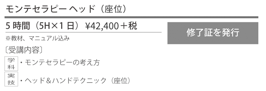 モンテセラピープロフェッショナルスクール_ヘッド座位コース案内